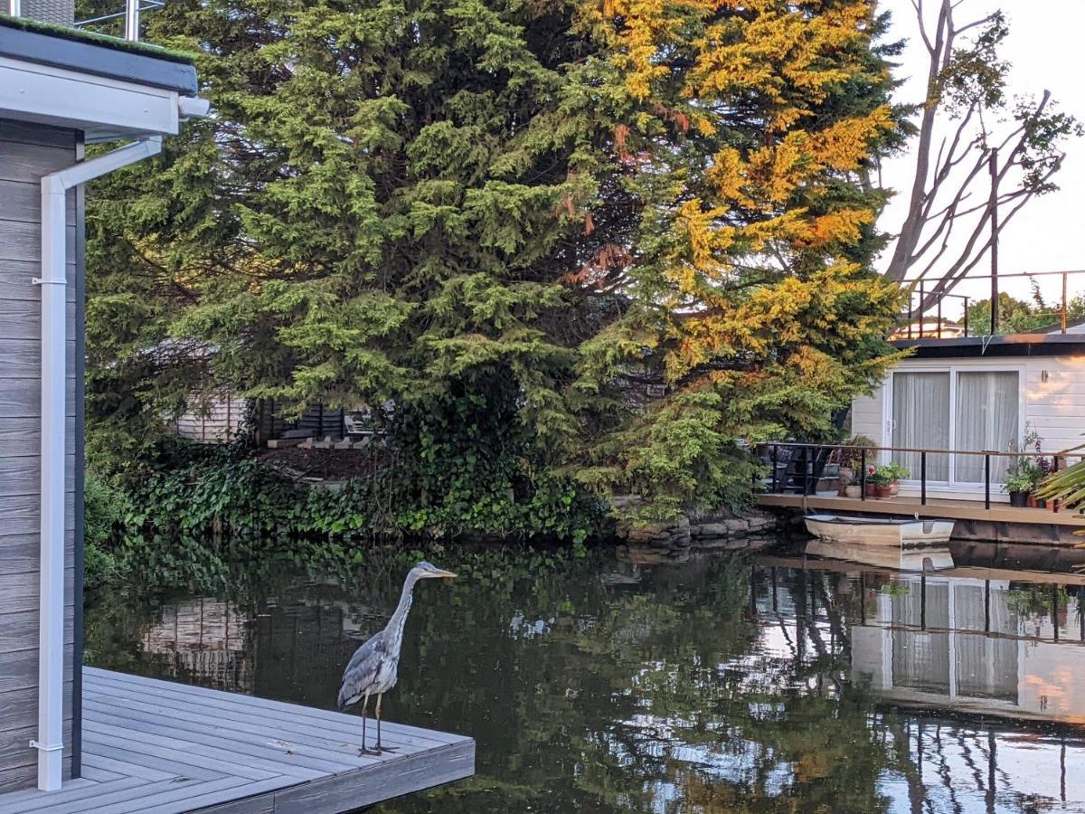 Tulana Taggs - Floating Home On Idyllic Island Hampton Hill 외부 사진